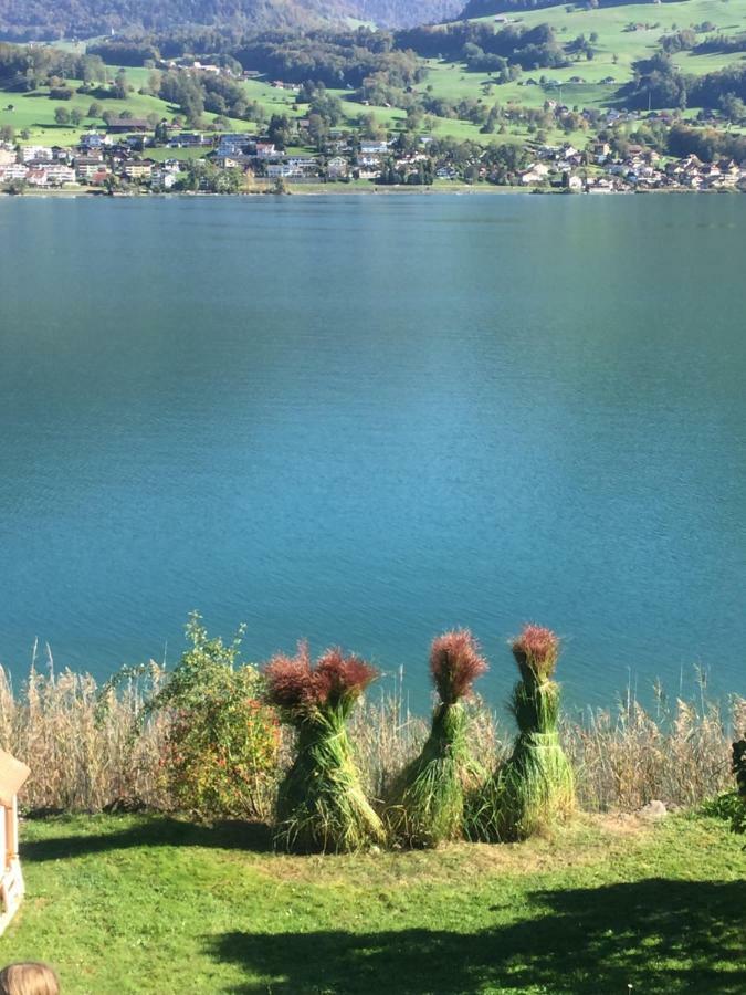 Luxury Loft On Top Of Villa Wilen With Tremendous Views By The Lake Sarnen Exterior photo